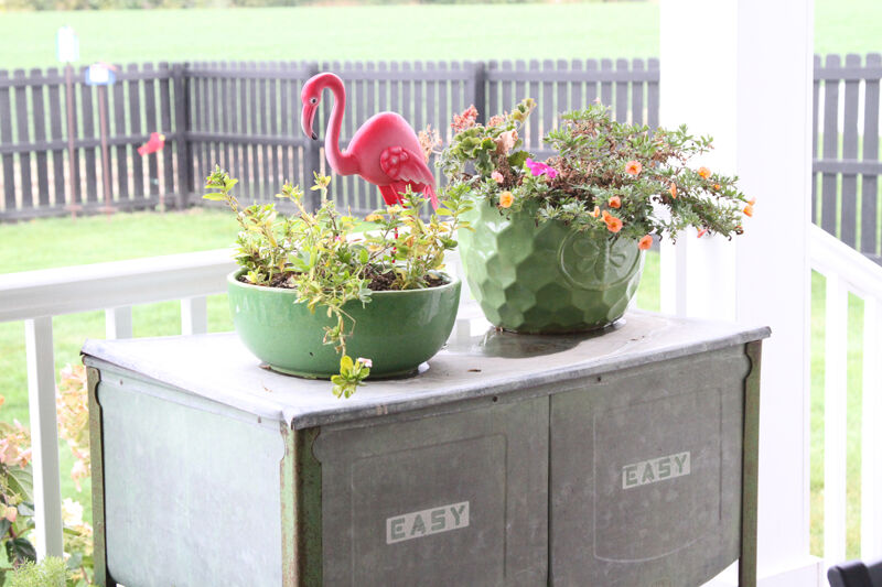 Backyard flower pots.jpg
